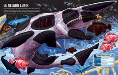 Construis tes requins avec des autocollants