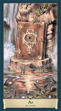 Tarot du grimoire obscur