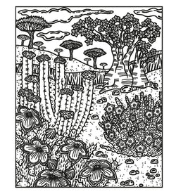 Les fleurs sauvages - La peinture magique