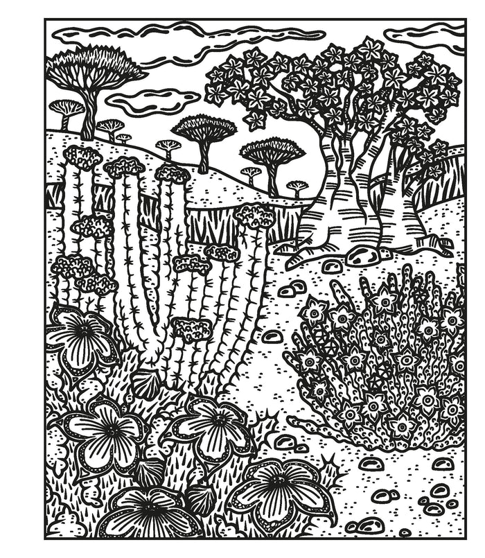 Les fleurs sauvages - La peinture magique