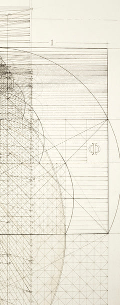 Le Nombre d'or - La divine beauté des mathématiques
