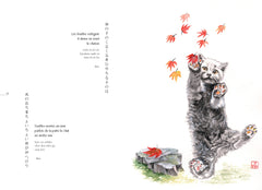 Moustaches et haïkus