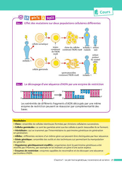 SVT 1re (Sciences de la vie et de la Terre) - ABC Réussite