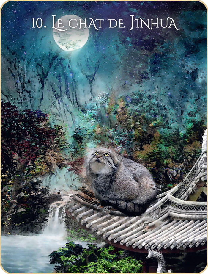 L'oracle initiatique des chats