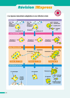 SVT 1re (Sciences de la vie et de la Terre) - ABC Réussite
