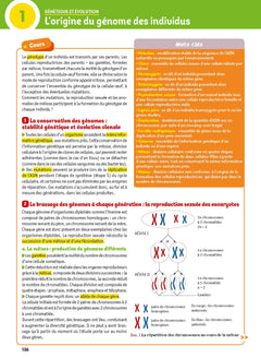 L'année de Terminale