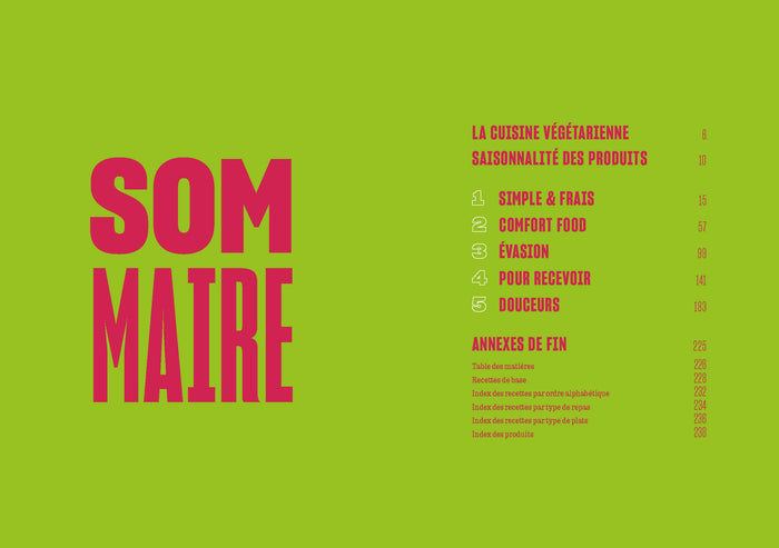 100 recettes veggies