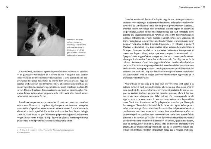 Le Chien, un loup rempli d'humanité