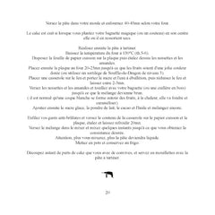 Harry Poffer Manuel non officiel de cuisine pour sorciers et non-magiciens