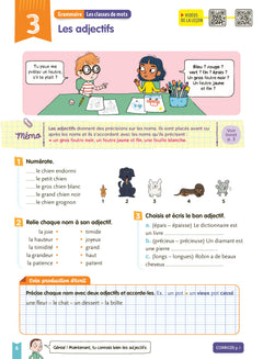 Je comprends tout - Français CE1 7-8 ans