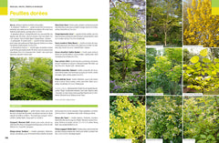 Toutes les plantes - Pour toutes les envies et toutes les situations