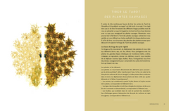 Le tarot des plantes sauvages