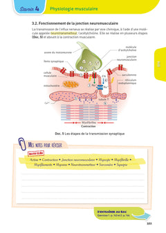Toutes les matières - Première ST2S