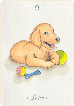 Messages de mon animal de compagnie