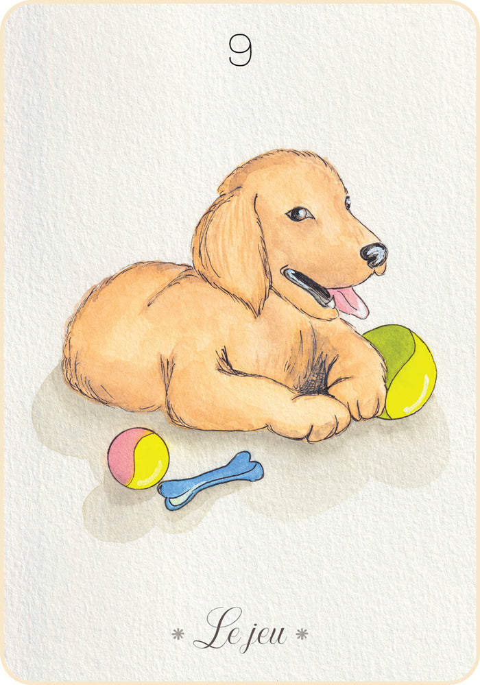 Messages de mon animal de compagnie