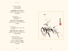 Le livre illustré des haïkus japonais - Un voyage au fil des saisons avec les plus grands poètes nippons