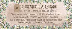 Le petit oracle du druide