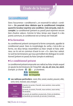 Le Médecin volant, Le Sicilien