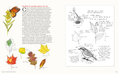 Journal du naturaliste