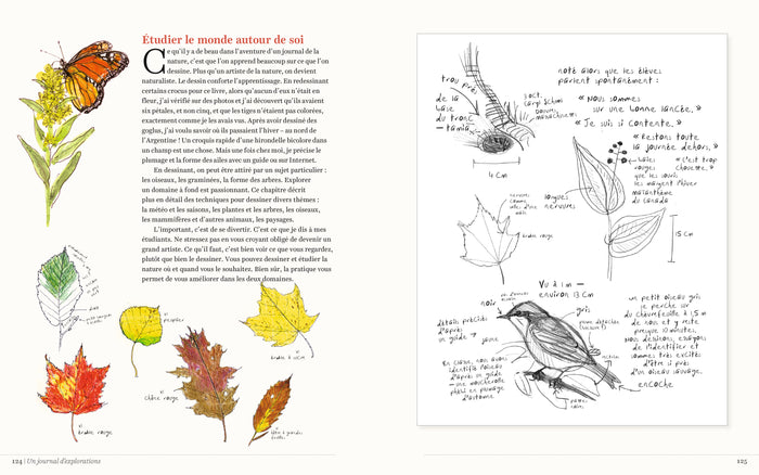 Journal du naturaliste