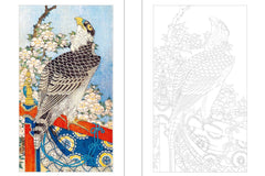 Curiosités naturelles du Japon à colorier