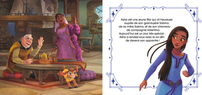 Wish, Asha et la bonne étoile