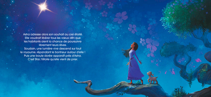 Wish, Asha et la bonne étoile
