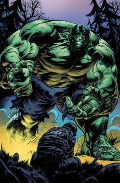 The Incredible Hulk T01 : L'âge des monstres