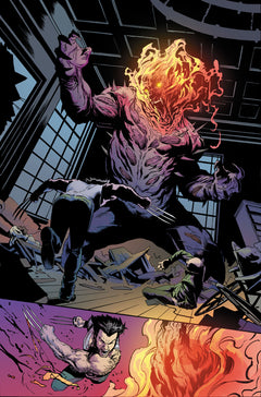 Ghost Rider & Wolverine : Les armes de la vengeance