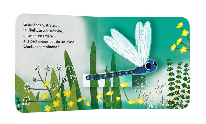 Mes p'tits pop-up : Les petites bêtes