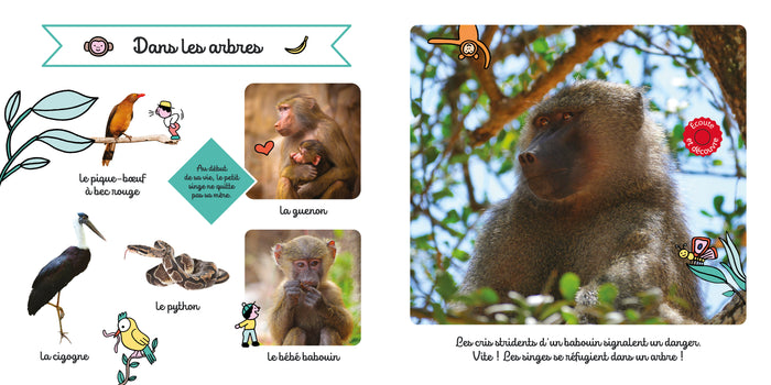 Mon imagier sonore - La savane