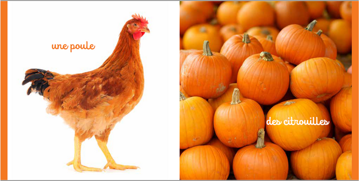 Mon mini imagier des couleurs