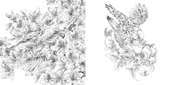 Les créatures de Ken Matsuda - Livre de coloriage