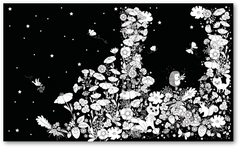 Merveilleux coloriages