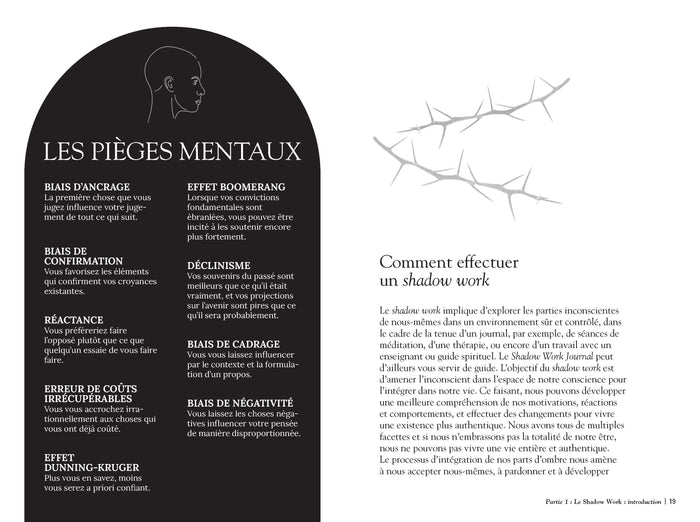 The shadow work journal