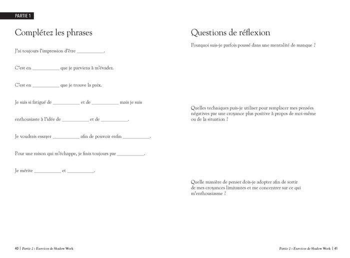 The shadow work journal