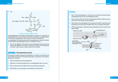 L'essentiel de Biochimie