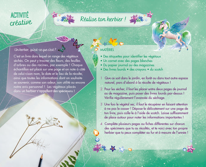 Licorne de rêve - Carnet créatif - Magie de la forêt