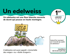 Un mot par jour - CM2 10/11 ans - Édition 2024