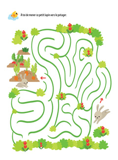 Labyrinthes 4+
