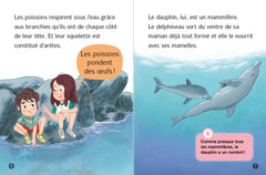 Les Docs de Lou - Tout sur les dauphins !