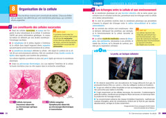 Prépabac Maths & enseignement scientifique (tronc commun) 1re générale