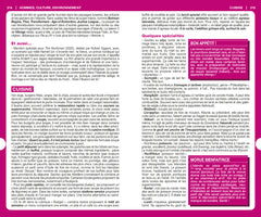 Guide du Routard Islande 2024/25