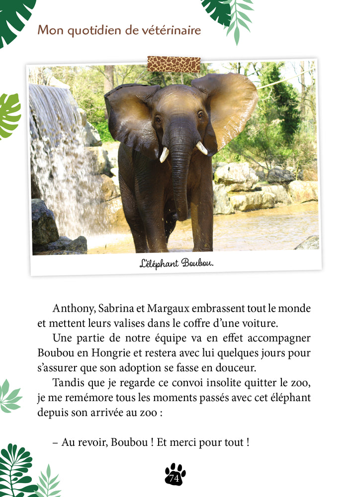 Une saison au zoo - Mon Quotidien de vétérinaire