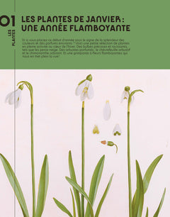 Quatre saisons au jardin