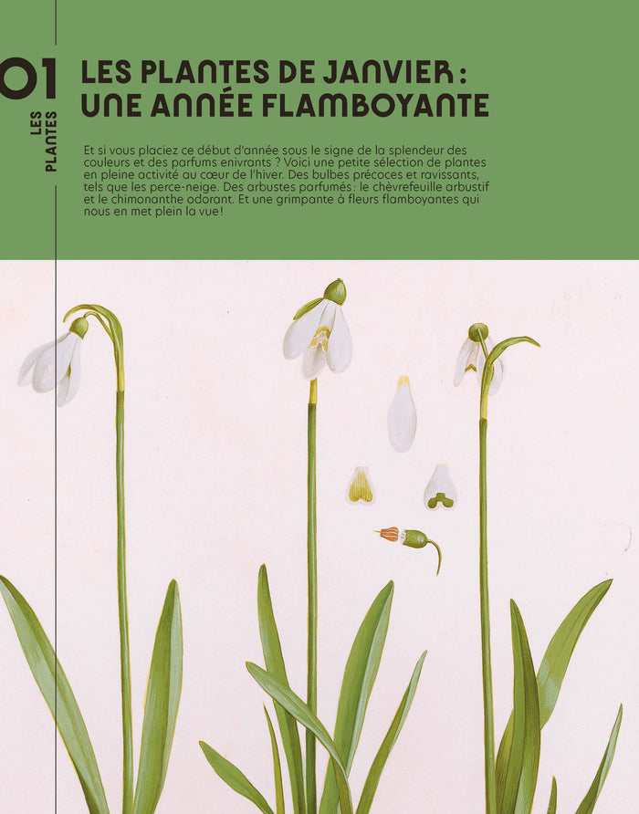 Quatre saisons au jardin