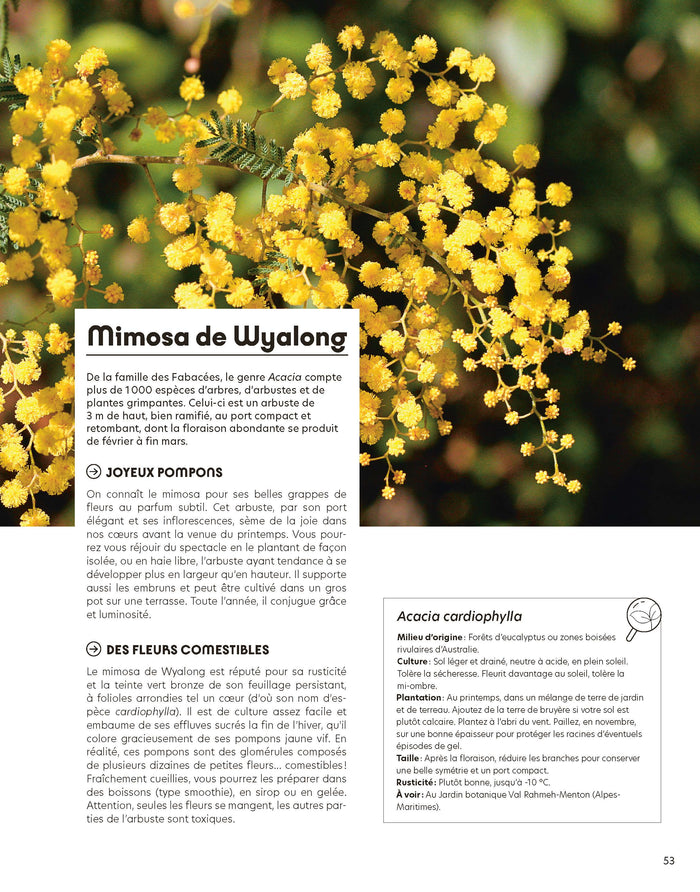 Quatre saisons au jardin