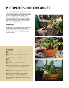 Quatre saisons au jardin