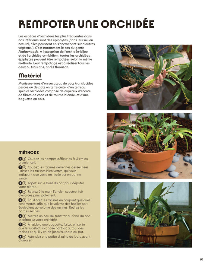 Quatre saisons au jardin