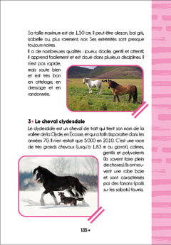 Le Galop des Étoiles - Le cheval fantôme - Tome 12